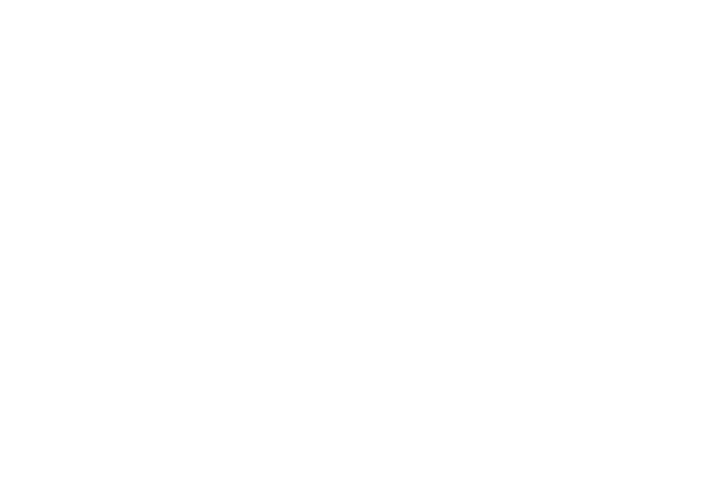 Bryan Loweree logo white